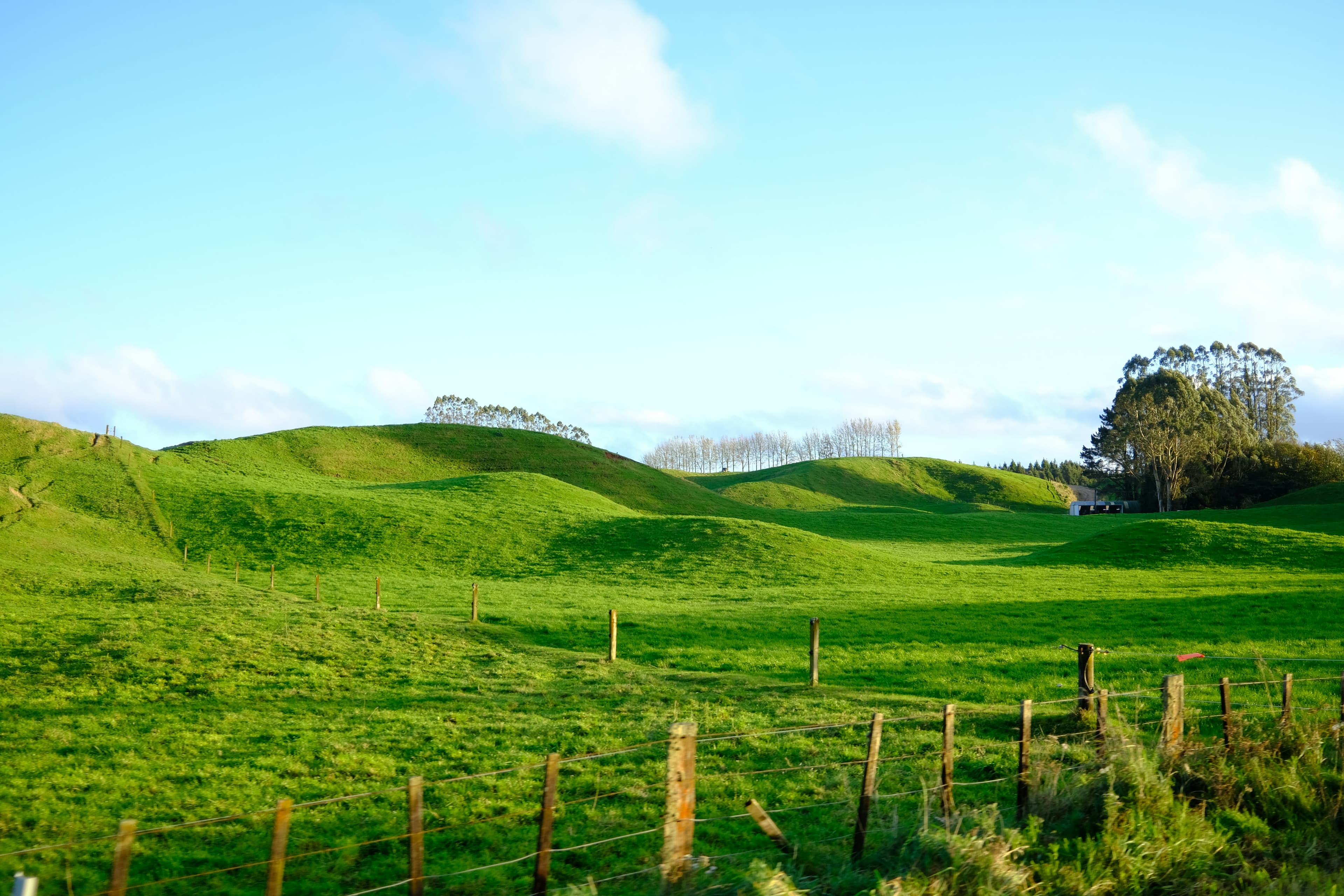 Farm landscape with rich green fields